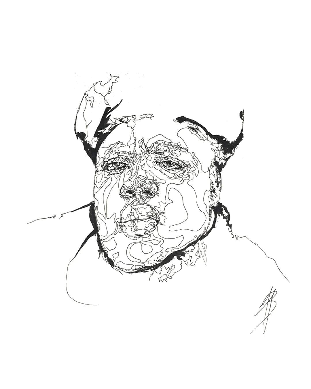 Facial Topography No. 22