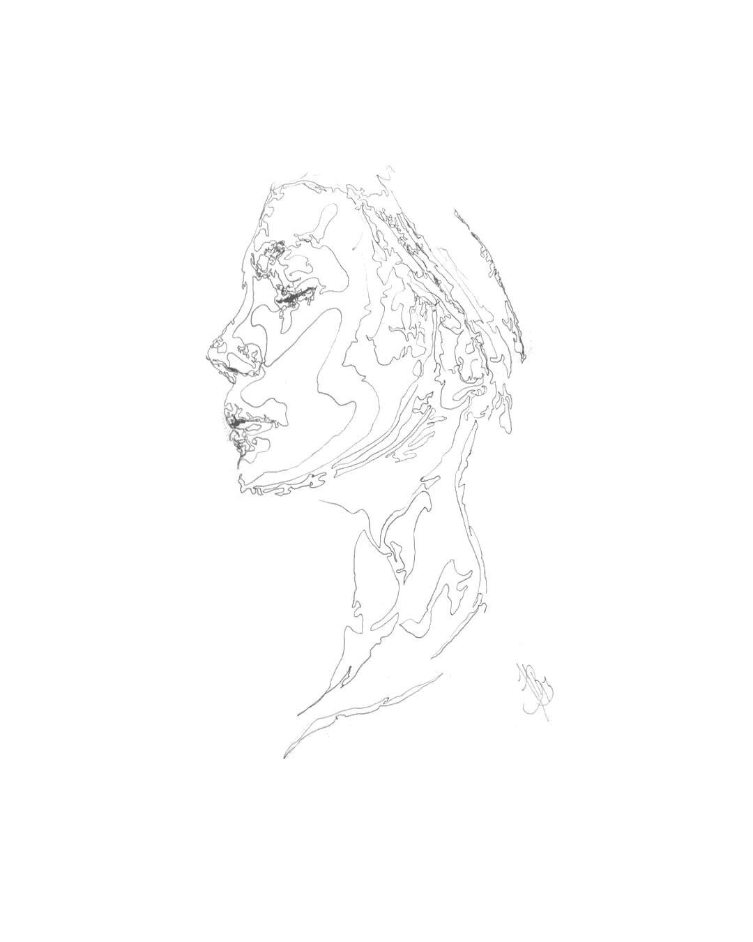 Facial Topography No. 17