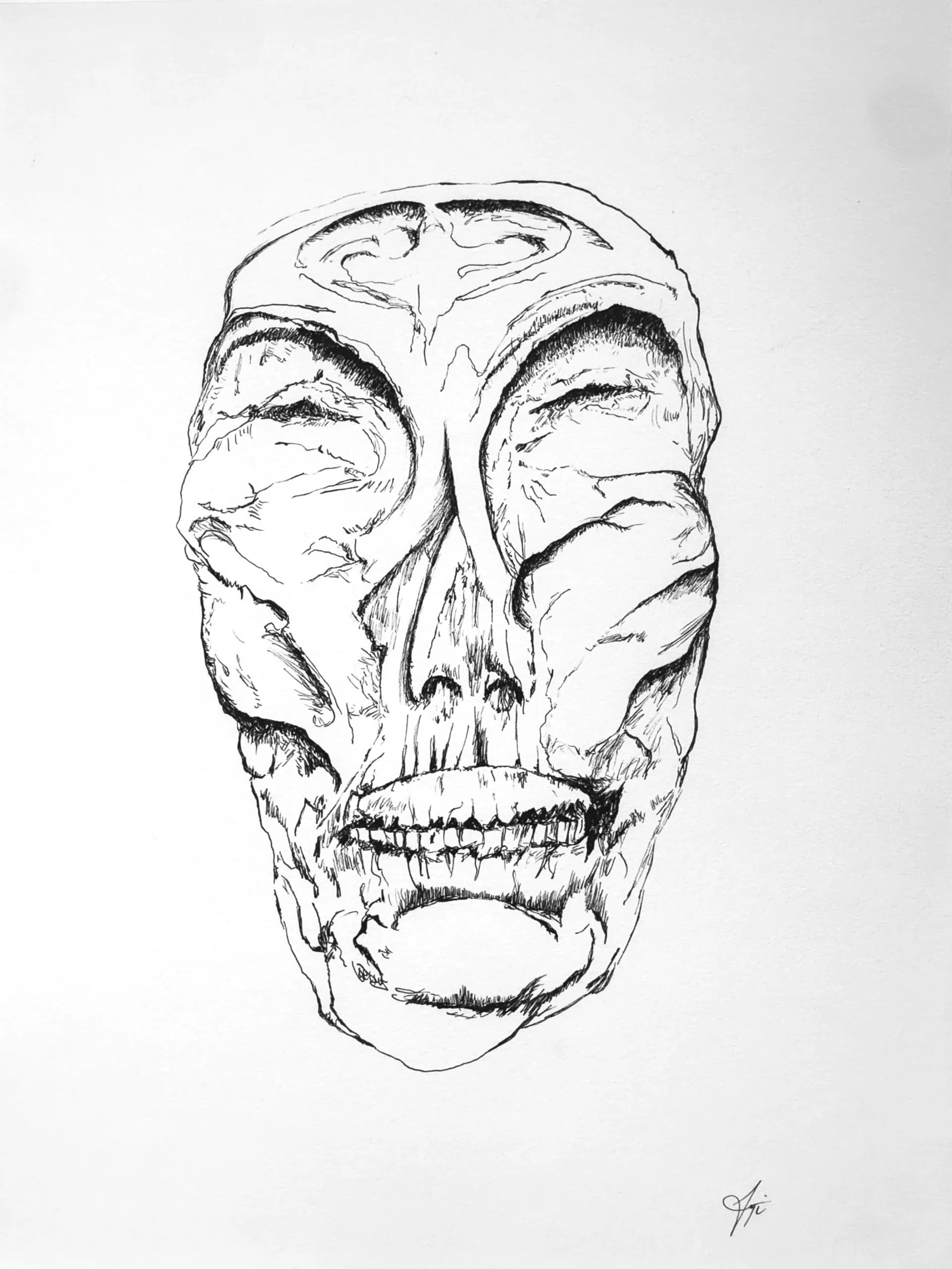 Untitled Skull 01