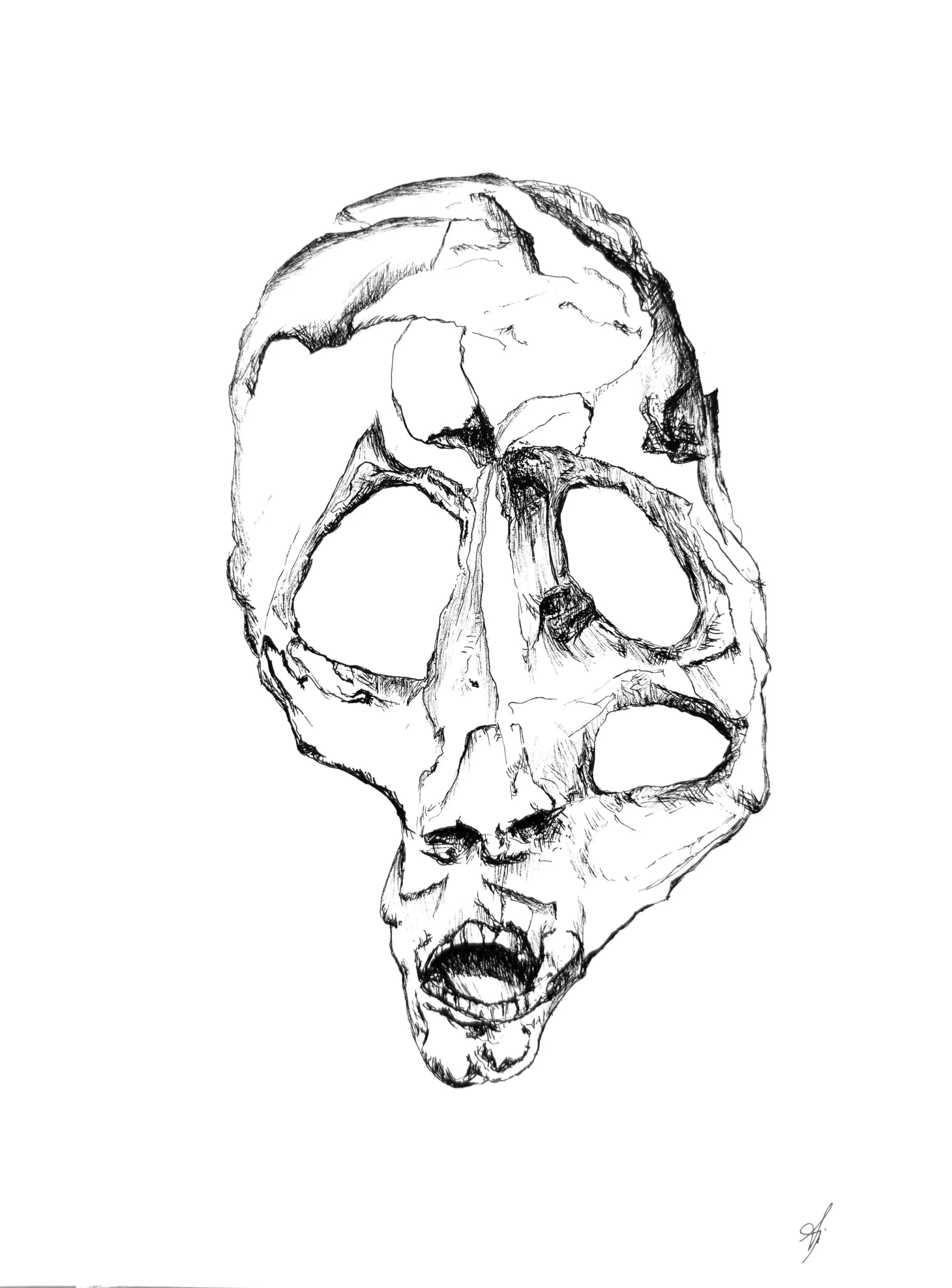 Untitled Skull 02