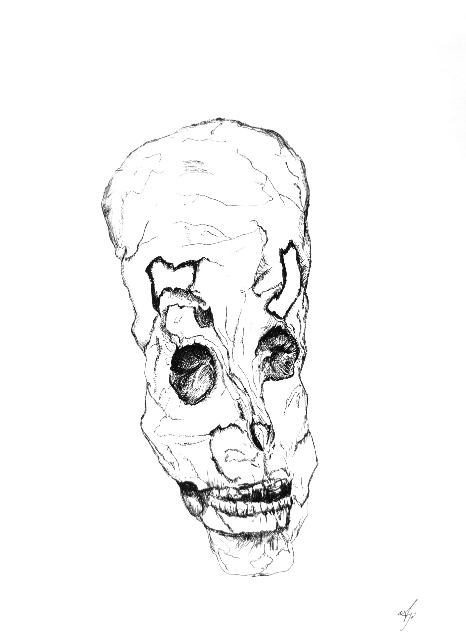 Untitled Skull 04